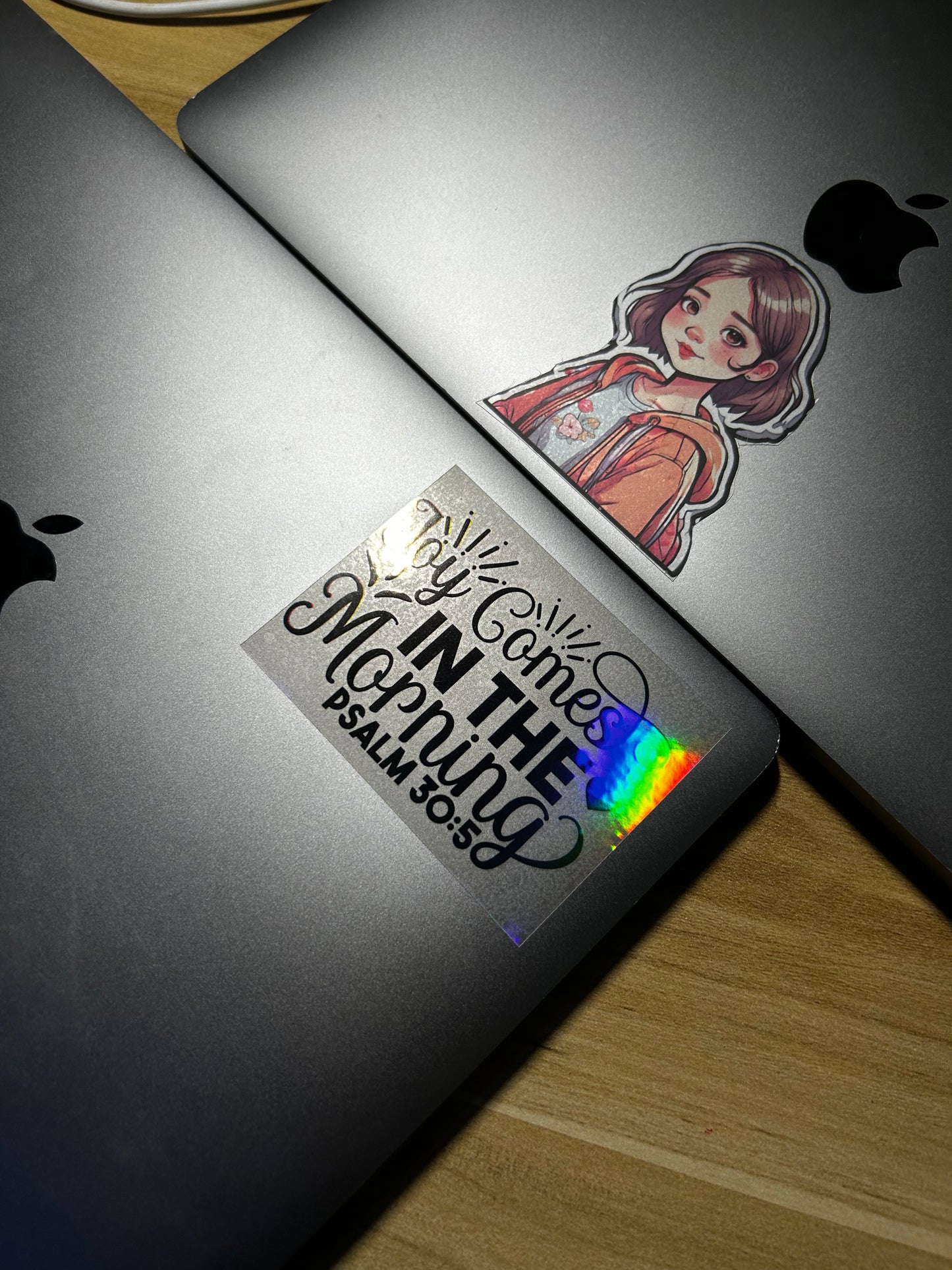 Laptop and Luggage Stickers